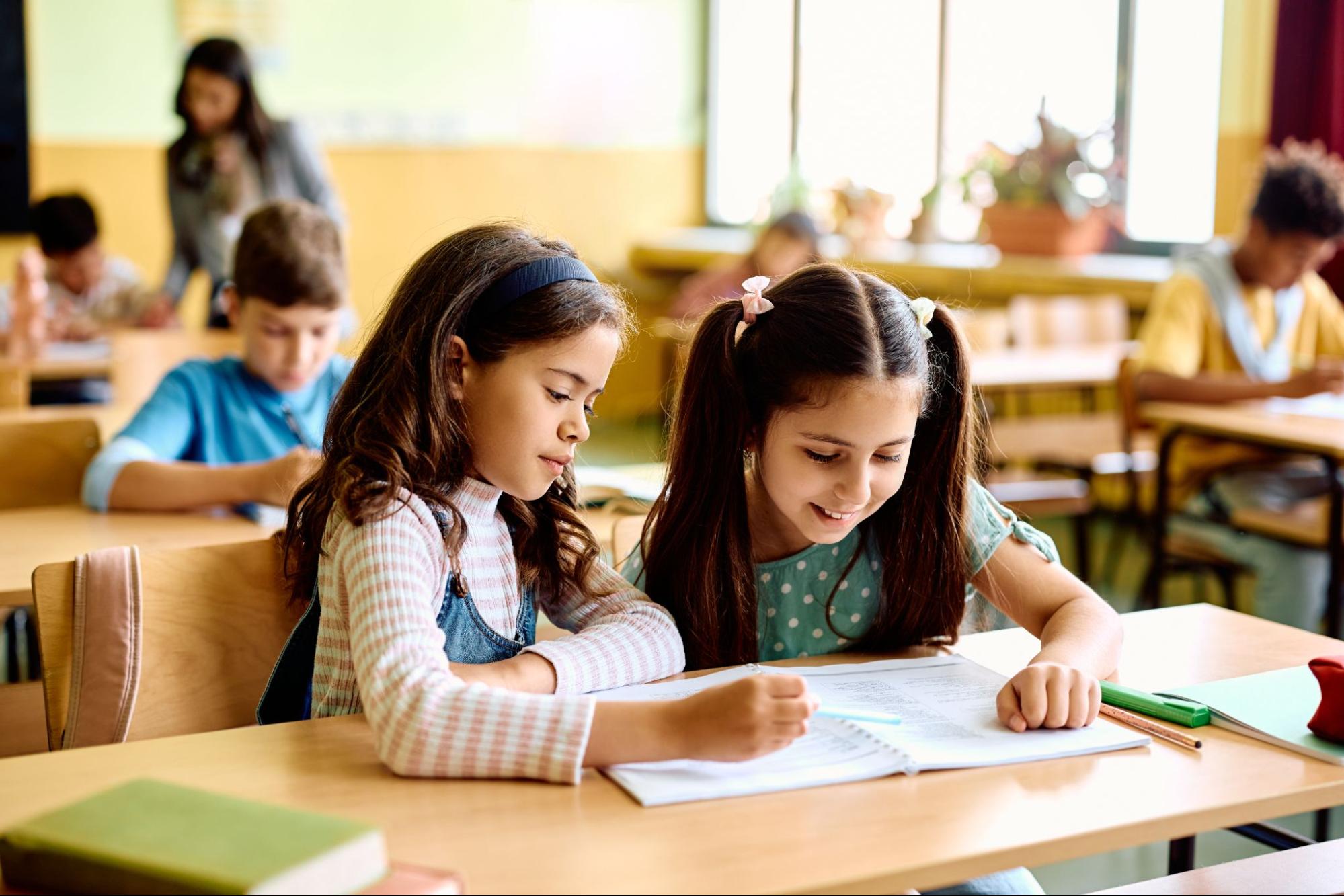 students studying in school ©Drazen Zigic