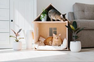  Pet-friendly room with cat house, cozy bedding, and organized toys
©Switlana S