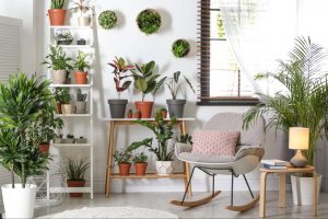 Indoor plant room in flex space with multiple potted plants and a cozy chair for relaxation
©New Africa