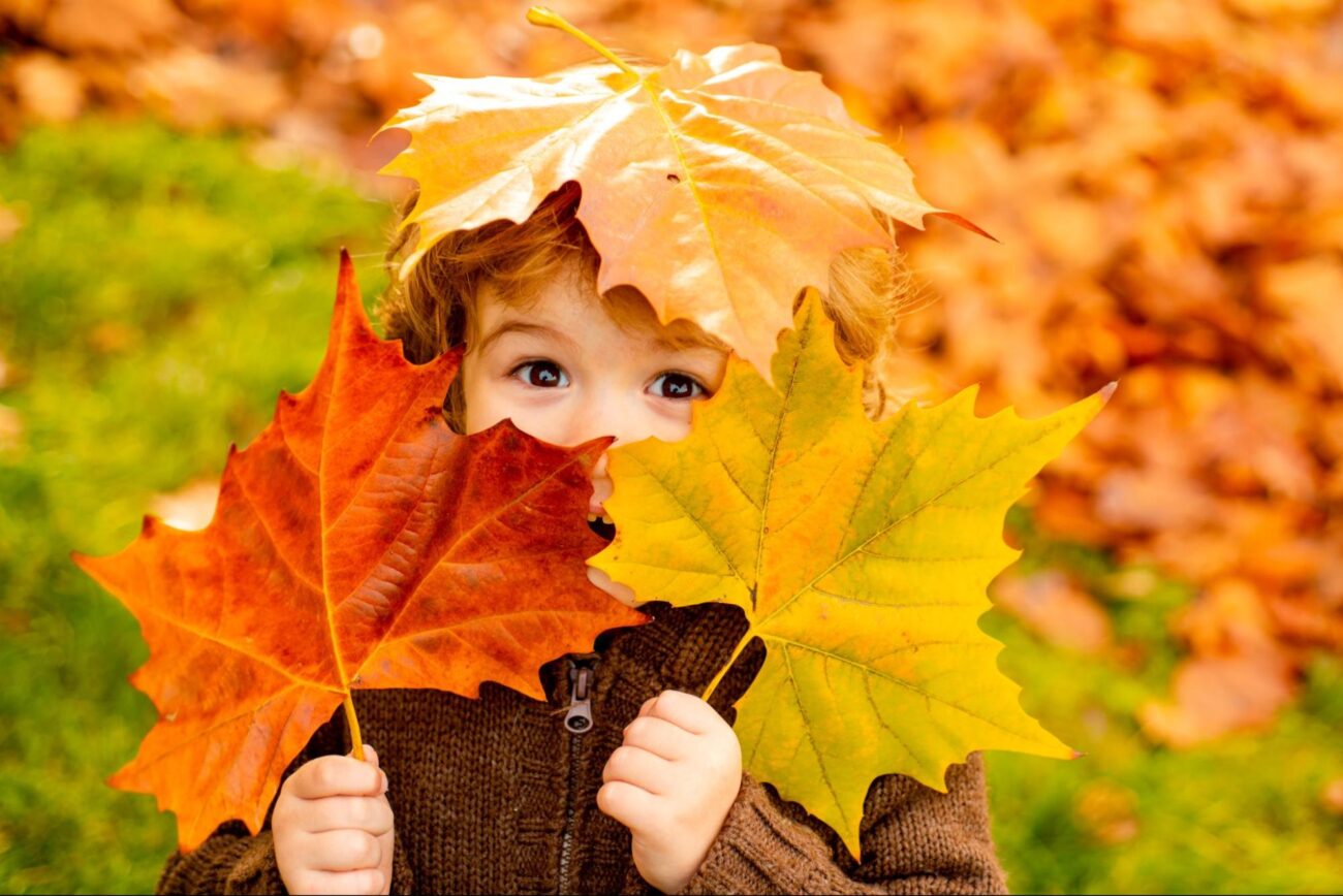 Young boy playing in autumn leaves ©Volodymyr TVERDOKHLIB